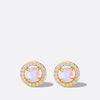 Golden Opal Spectacle - Komplett Set